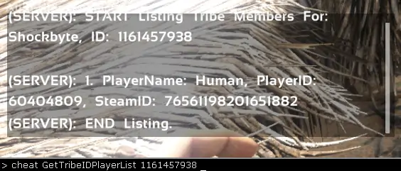 In game screenshot showing how to get a player ID