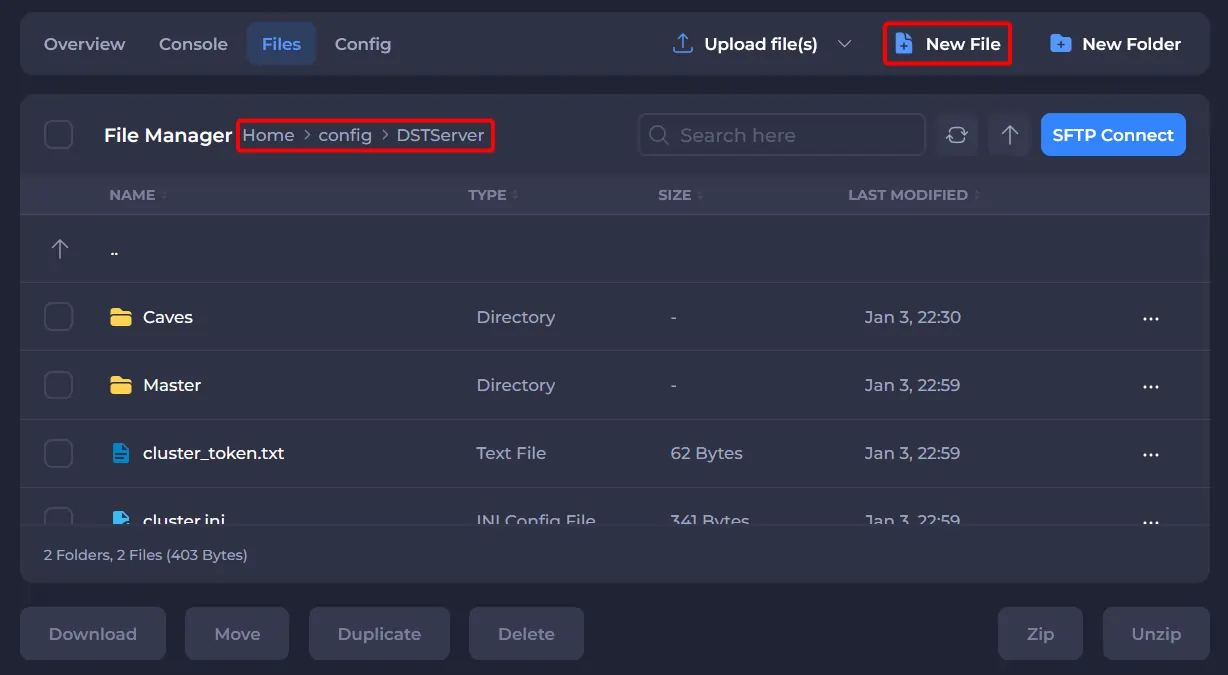 Don't Starve Together file manager at cluster folder creating a file
