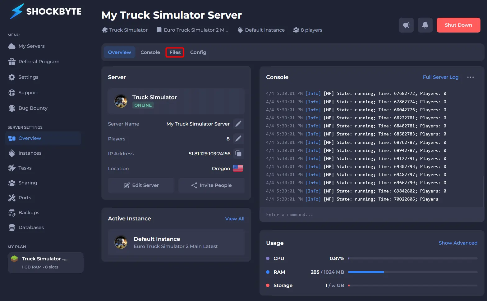 Truck simulator server with the Files button highlighted